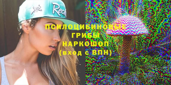 гидра Балахна