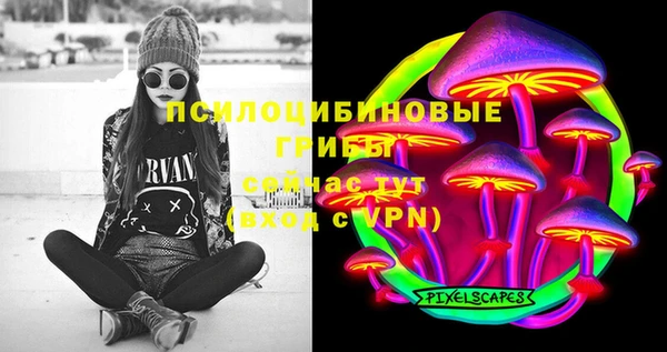 гидра Балахна