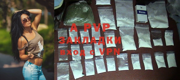 гидра Балахна